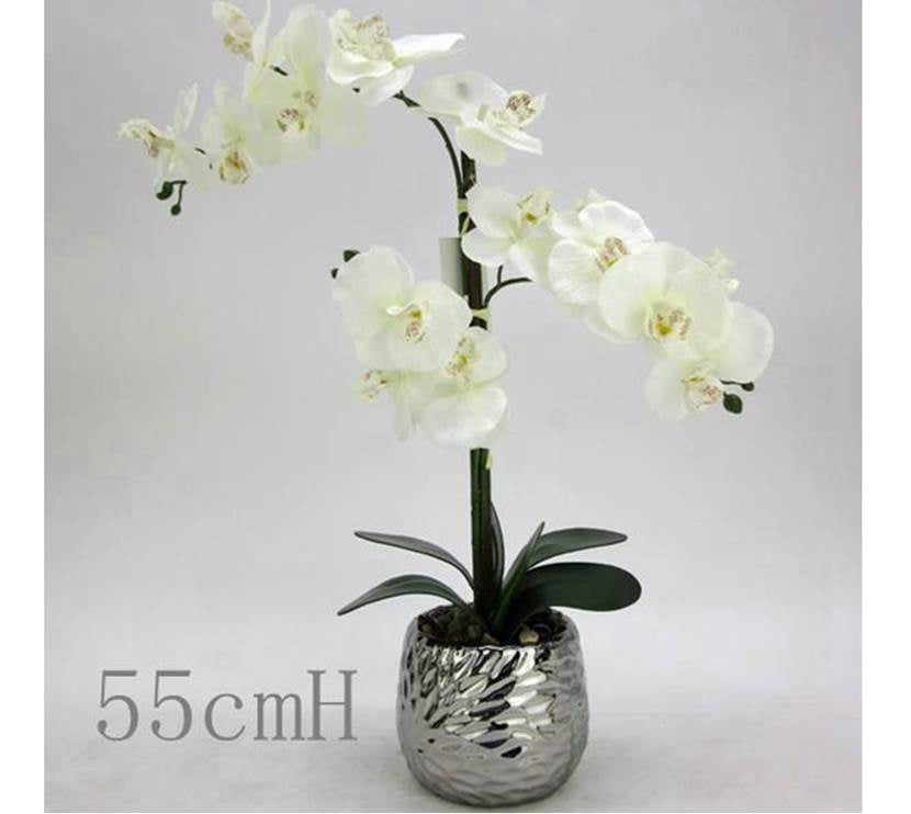 Artificial White Orchid in Silver Pot 56cm
