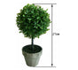 Artificial Boxwood in Pot 27cm