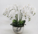 Large White Orchid In Marble Look Pot 64cm - Front View