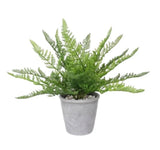 Artificial Fern Plant in Pot 35cm - Front View
