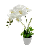 Artificial One Stem Orchid In Plastic Pot 10x46cm - Front View