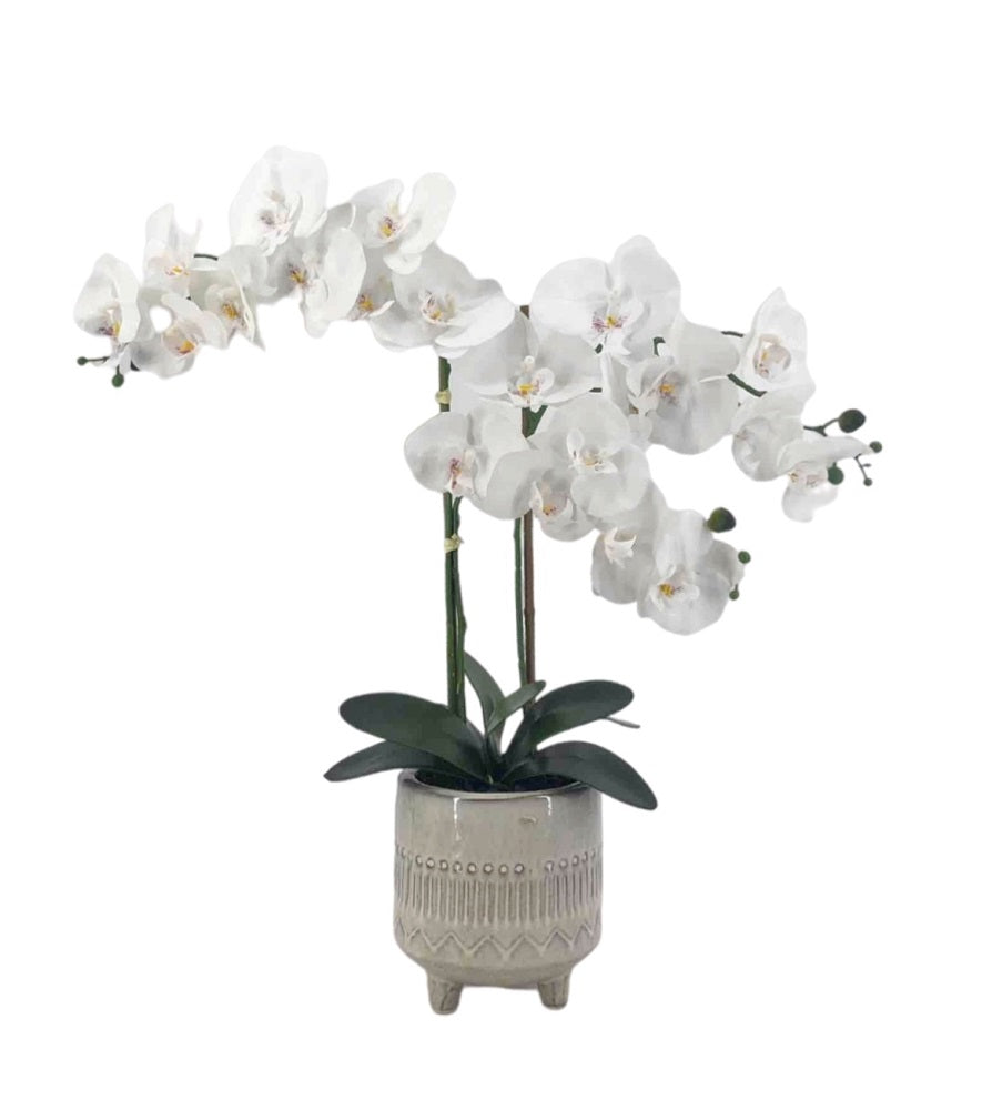Artificial Orchid in Ceramic Pot 58cm