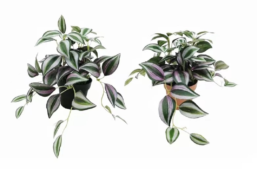 Set 2 Artificial Inch Plant in Pot Assorted 23cm
