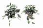 Set 2 Artificial Inch Plant in Pot Assorted 23cm