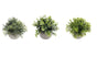 Set 3 Artificial Plant in Cement Pot Assort 18cm