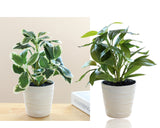 Set 2 Artificial Green Leaf in Pot Assort 28cm