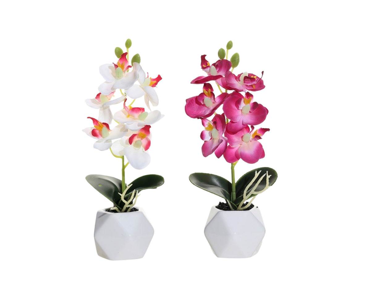 Set 2 Artificial Orchid in Ceramic Pot 10x21cm