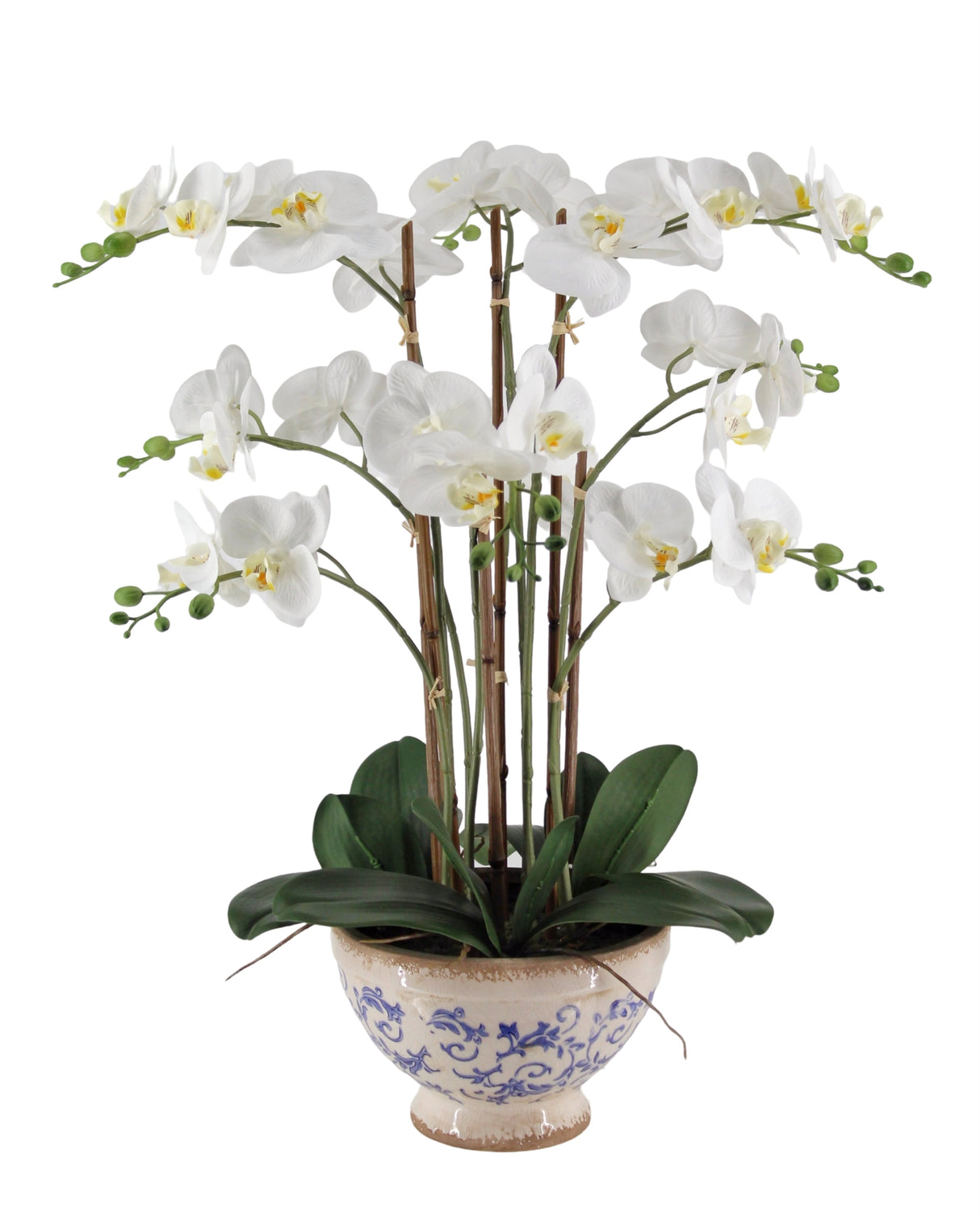 Real Touch Artificial Orchid in Ceramic Pot 68cm