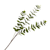 bulk 24 Artificial Eucalyptus Stem 3 Branches 2 Assort 80cm
