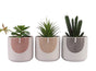 Set 3 Rainbow Ceramic Pot Planter 13cm