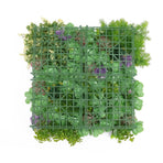 Artificial Dense Succulent Green Wall / Vertical Garden Panel 50cm x 50cm UV Resistant