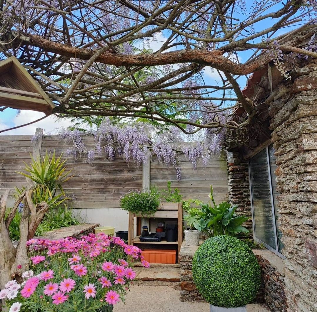 Large Boxwood Topiary Ball UV Resistant 44cm