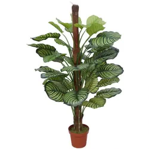 Pond Leaf Plant 110cm