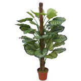 Pond Leaf Plant 110cm - Side View