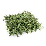 Deluxe Portable Buxus Hedge UV Resistant 150cm Long x 150cm High - Side View