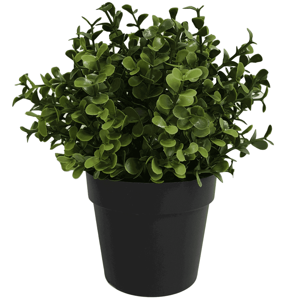 Small Potted Artificial Buxus Plant UV Resistant 20cm