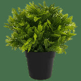 Small Potted Artificial Mimosa Fern UV Resistant 20cm