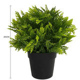 Small Potted Artificial Mimosa Fern UV Resistant 20cm - Front View