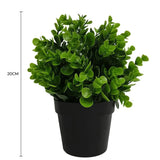 Small Potted Artificial Peperomia Plant UV Resistant 20cm - Front View