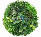 Artificial Green Wall Disc Art 150cm Mixed Ivy and Philodendron (Onyx Black)