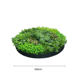 Artificial Green Wall Disc Art 150cm Mixed Ivy and Philodendron (Onyx Black) - Front View