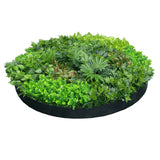 Artificial Green Wall Disc Art 150cm Mixed Ivy and Philodendron (Onyx Black) - Side View