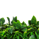 Green Meadows Vertical Garden UV STABILISED PREMIUM SAMPLE