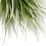 White Tipped Grass Stem UV Resistant 35cm - Top-Down View