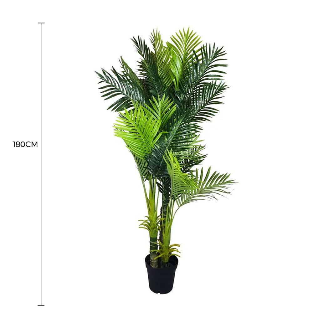 Multi Trunk Hawaii Palm 180cm