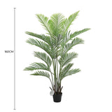 Premium Artificial Areca Palm Tree Real Touch 160cm - Front View