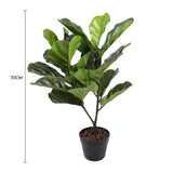 Artificial Fiddle Fig Tree 70cm - Front View
