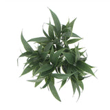 Dark Green Tipped Willow Oak Stem UV Resistant 30cm - Top-Down View