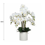 Large Multi-Stem White Potted Faux Orchid 65cm