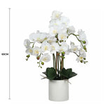 Large Multi-Stem White Potted Faux Orchid 65cm - Front View