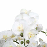 Large Multi-Stem White Potted Faux Orchid 65cm - Top-Down View