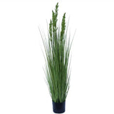 Flowering Native Grass 120cm