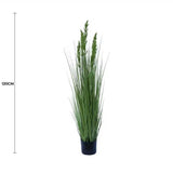 Flowering Native Grass 120cm - Front View