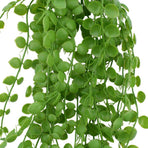 Hanging Pearls UV Resistant 90cm