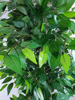 Mixed Green Bushy Artificial Ficus Tree 180cm