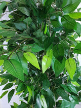 Mixed Green Bushy Artificial Ficus Tree 180cm - Side View