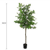 Artificial Potted Ficus Tree 160cm - Front View