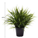 Artificial Ornamental Potted Dense Green Grass UV Resistant 38cm