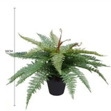 Artificial Potted Fishtail Fern 55cm