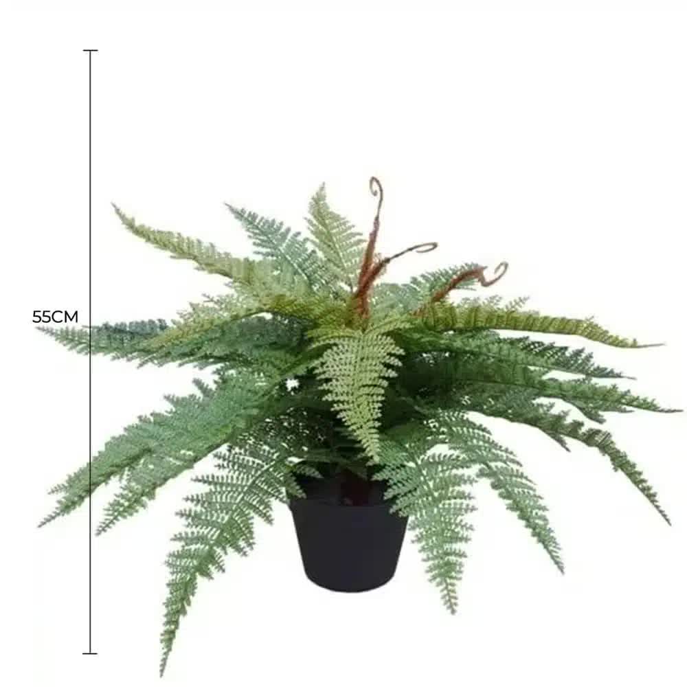 Artificial Potted Fishtail Fern 55cm