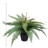 Artificial Potted Fishtail Fern 55cm - Front View