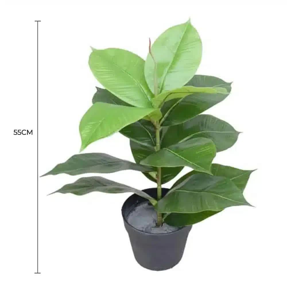 Artificial Potted Rubber Plant 55cm