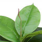 Artificial Potted Rubber Plant 55cm - Side View