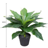 Artificial Potted Wide Leaf Birds Nest Fern 50cm - Front View