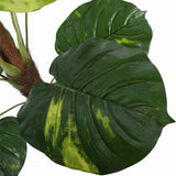 Artificial Potted Pothos Plant with Pole 100cm - Side View