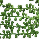 Hanging Succulent String Of Pearl Beads 75cm - Side View